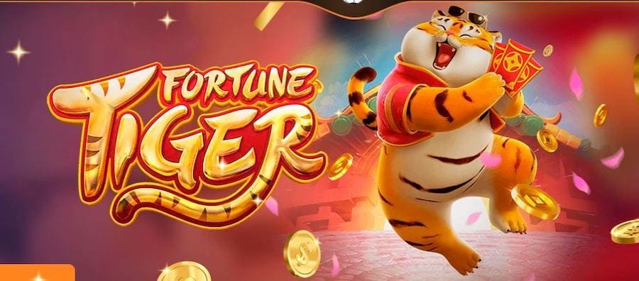 BD333 Casino অফিস ও টিম